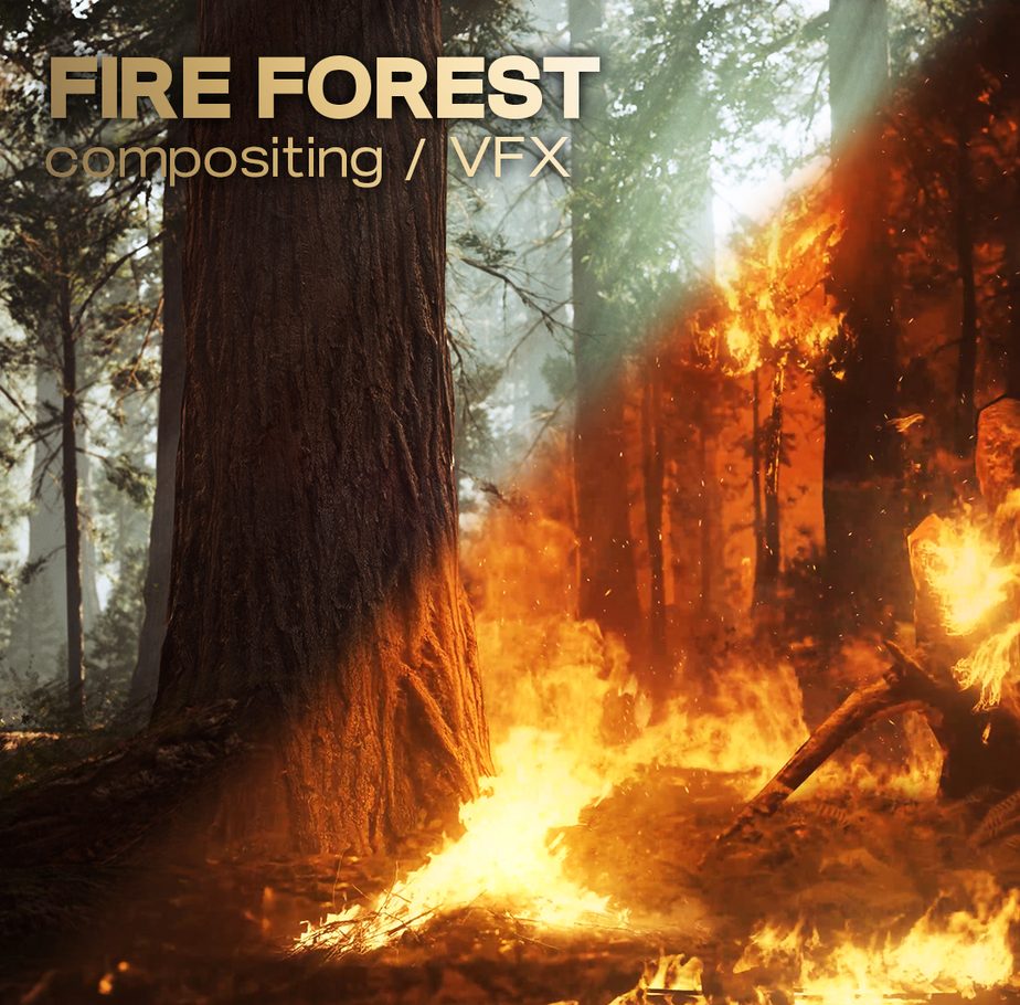 Fire Forest — compositing and VFX